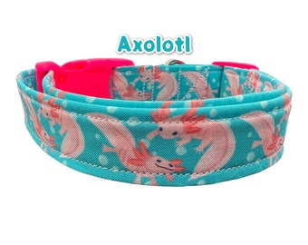 Axolotl dog collar, dog collar, dog collar boy, dog collar girl, side release dog collar, adjustable dog collar, washable dog collar