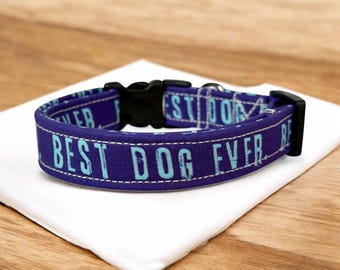 Funny Dog Collar: Handmade Adjustable Side Release Collar