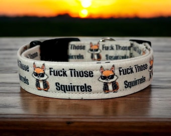 Fuck those squirrels dog collar, dog collar, handmade side release collar, funny dog collar, custom dog collar, washable, adjustable collar