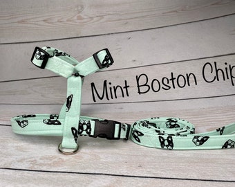 Dog harness, Harness and leash set, step in harness, standard harness, matching leash, adjustable harness, boston terrier, mint green
