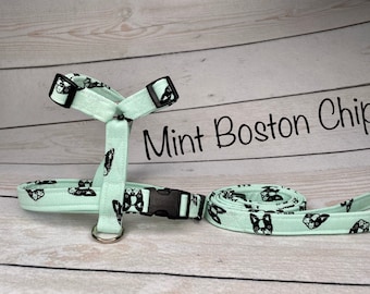 Dog harness, Harness and leash set, step in harness, standard harness, matching leash, adjustable harness, boston terrier, mint green