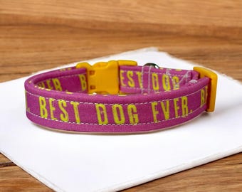 Funny Dog Collar: Handmade Adjustable Side Release Collar