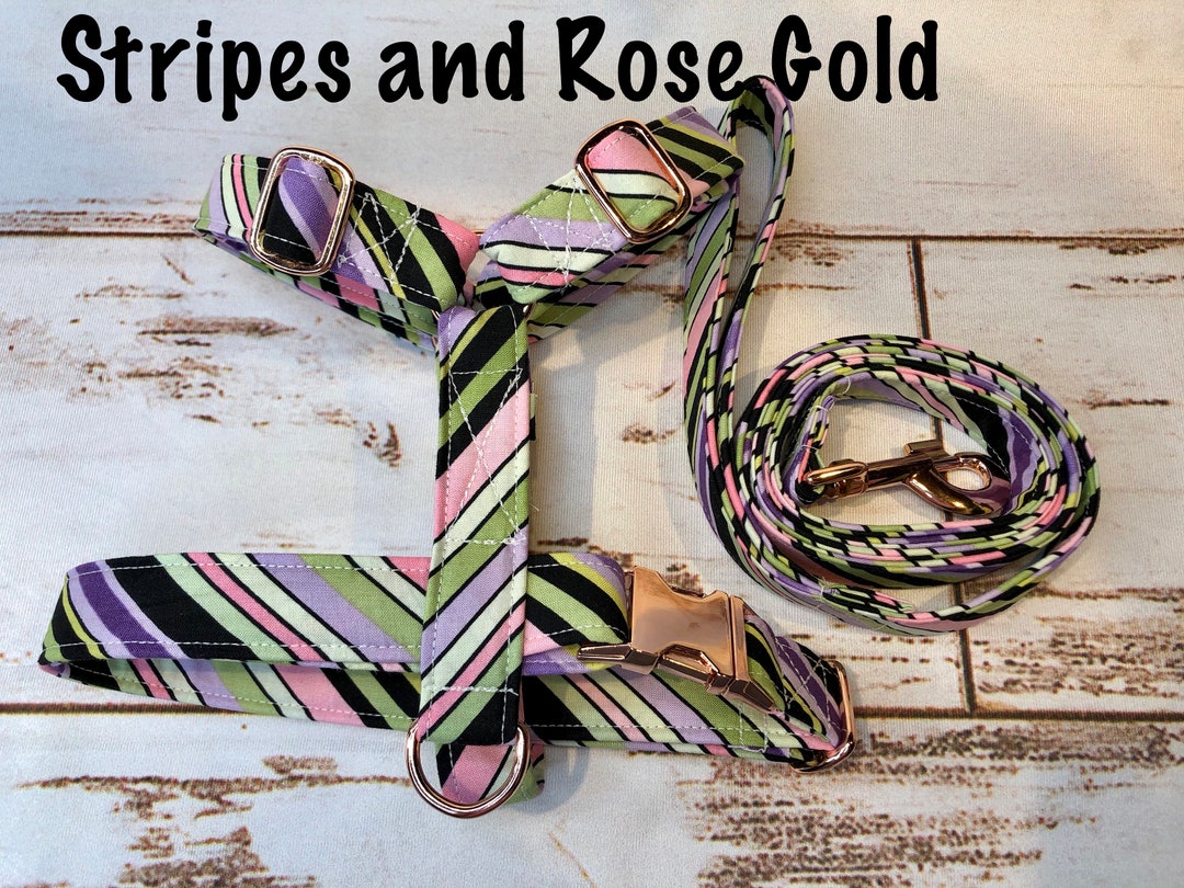 Dog Harness, Harness and Leash, Step in Harness, Standard Harness, Dog