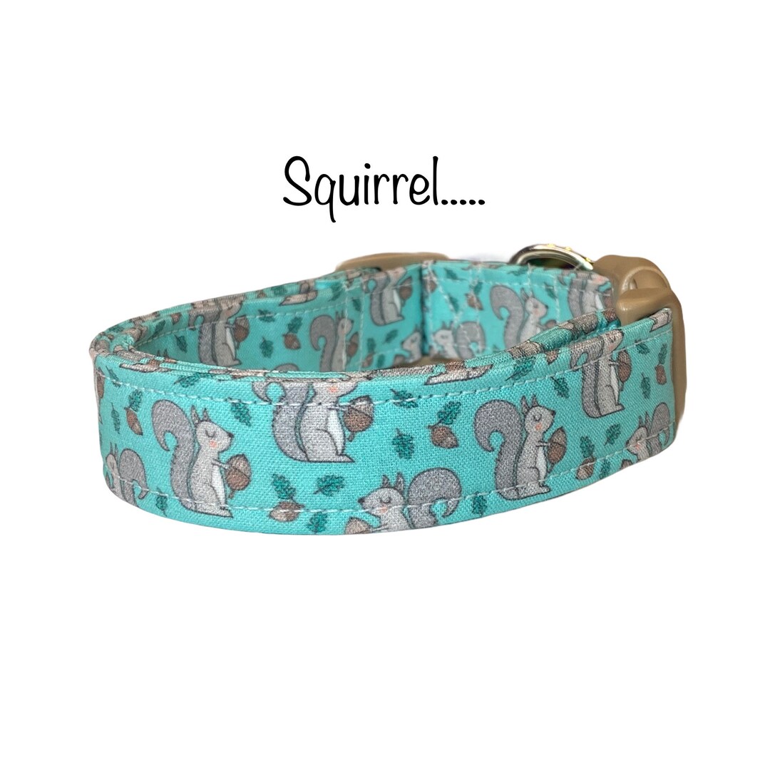 Squirrel Dog Collar, Funny Dog Collar, Squirrel, Eco Friendly Collar, Adjustable, Washable, Side