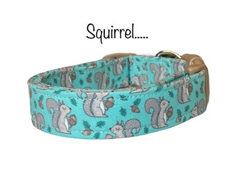 Squirrel dog collar, funny dog collar, squirrel, eco friendly collar, adjustable, washable, side release collar, squirrels, teal dog collar