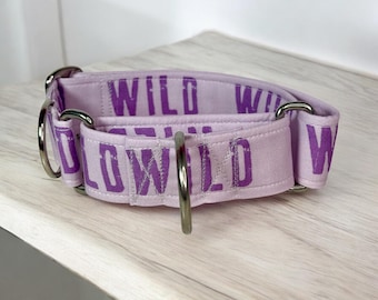 Wild martingale dog collar, martingale dog collar, buckle-less dog collar, training dog collar, girl dog collar, boy dog collar, movies