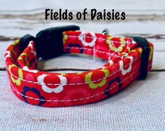 Daisies with pink dog collar, standard adjustable or martingale