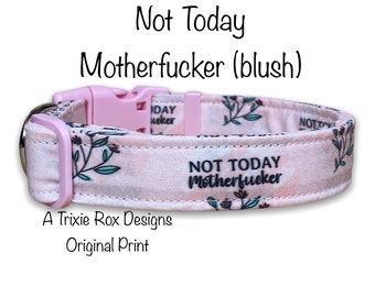 Obscene dog collar, dog collar, not today motherfucker, fuck dog collar, girl dog collar, funny dog collar, floral dog collar, handmade