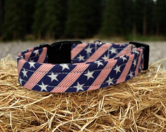 Patriotic dog collar, funny dog collar, handmade side release dog collar, girl dog collar, boy dog collar, custom adjustable dog collar