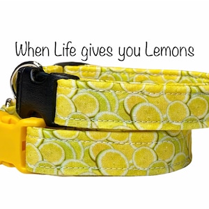 Lemon dog collar, dog collar, yellow dog collar, fabric dog collar, lemons, washable dog collar, food dog collar, cute dog collar, fruit