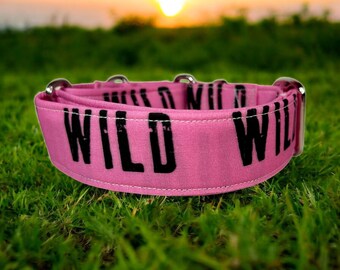 Wild martingale dog collar, martingale dog collar, buckle-less dog collar, training dog collar, girl dog collar, boy dog collar, movies
