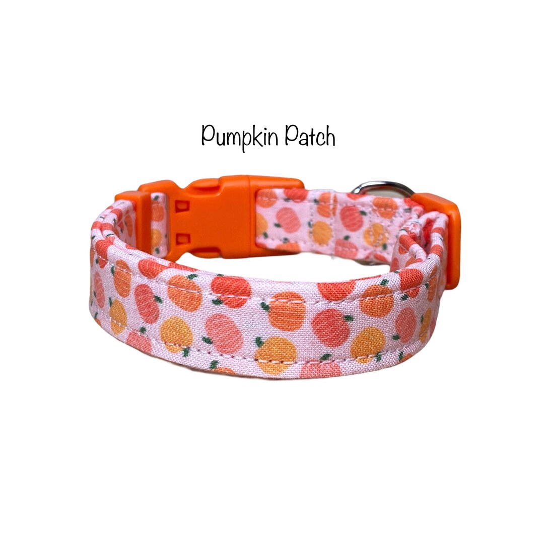 Pumpkin Patch Dog Collar: Fall Harvest, Adjustable, Washable
