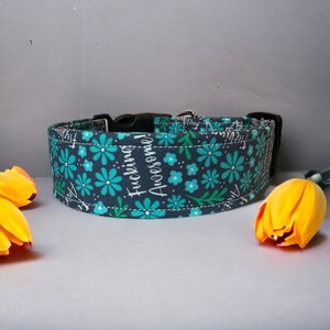 Obscene dog collar, dog collar, not today motherfucker, fuck dog ...
