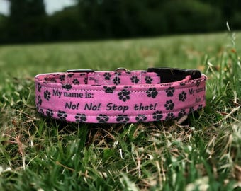 Cuss word Collars
