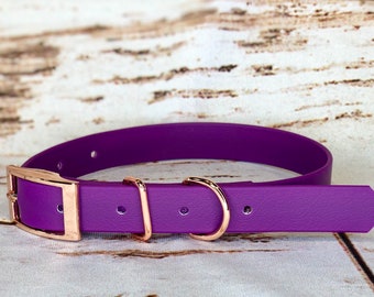 Waterproof dog collar, purple dog collar, dog collar, buckle dog collar, waterproof collar, purple, rose gold hardware, vegan leather dog
