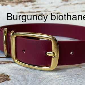 Biothane dog collar, burgundy dog collar, dog collar, buckle dog collar, waterproof collar, burgundy biothane, vegan leather dog collar