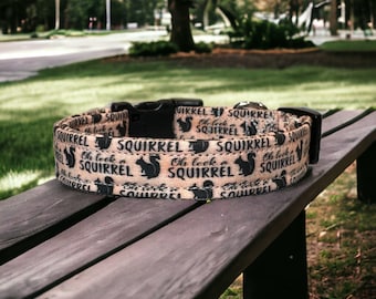 Oh look a squirrel dog collar, funny dog collar, side release dog collar, adjustable washable collar, handmade dog collar, custom dog collar