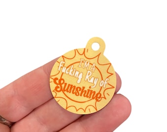 Funny pet tag for dog collar, beer pet tag, dog tag, funny dog tag, aluminum pet tag, Ray of sunshine, two sided pet tag, ID tag for dogs
