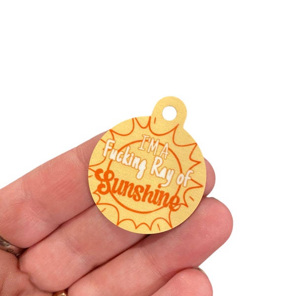 Funny pet tag for dog collar, beer pet tag, dog tag, funny dog tag, aluminum pet tag, Ray of sunshine, two sided pet tag, ID tag for dogs