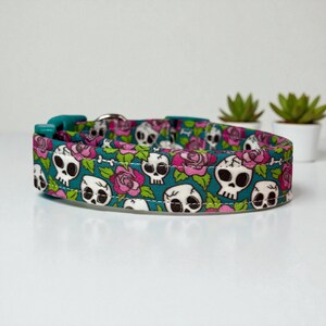 May include: A teal dog collar featuring a repeating pattern of white skulls and pink roses. The collar has a teal plastic buckle and a silver metal loop for attaching a leash. The background is white with small potted plants.