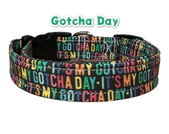 Dog collar, gotcha day dog collar, gotcha day cat collar, rainbow dog collar, quick release collar, girl collar, boy collar, collar for dog