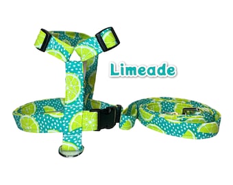 Lime dog harness and matching leash, pet harness & leash set, standard roman harness, step in harness, adjustable washable pet harness