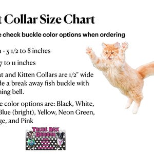 A cat collar size chart with an image of an orange cat jumping on the right.
