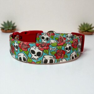 May include: A turquoise dog collar featuring a repeating pattern of white skulls and red roses. The collar has a red plastic buckle and a silver metal loop for attaching a leash. The design includes green leaves and bone shapes.