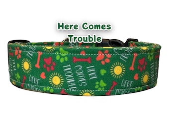 Funny dog collar, cuss word dog collar, wide dog collar, side release adjustable, washable dog collar, fabric dog collar, here comes trouble