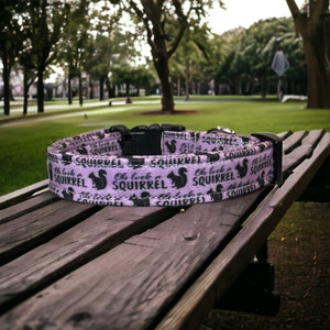 Oh Look a Squirrel Dog Collar: Funny Handmade Adjustable Collar