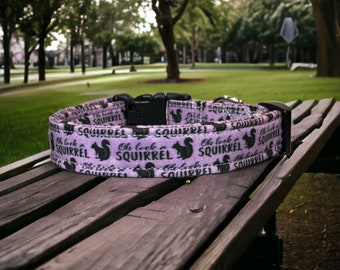 Oh look a squirrel dog collar, funny dog collar, side release dog collar, adjustable washable collar, handmade dog collar, custom dog collar