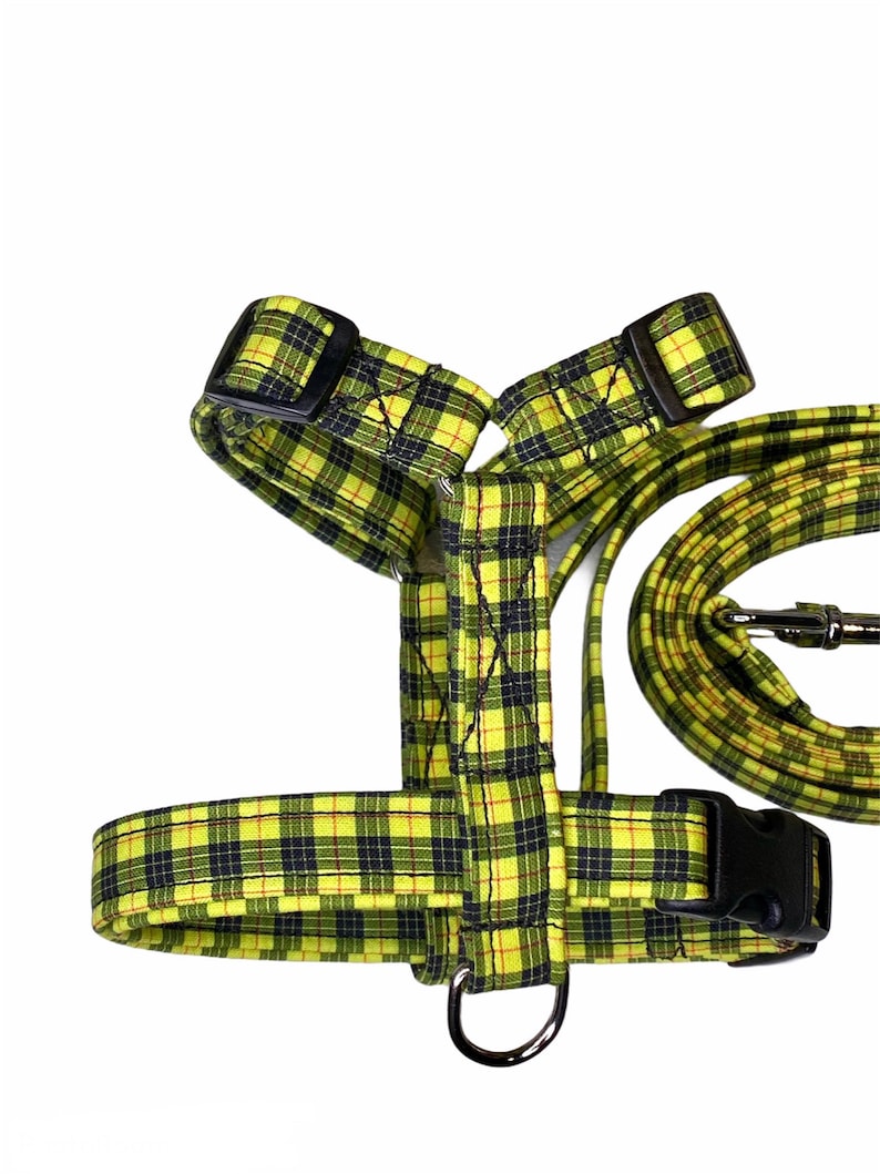 Dog Harness Harness and Leash Set Matching Leash Step in Etsy