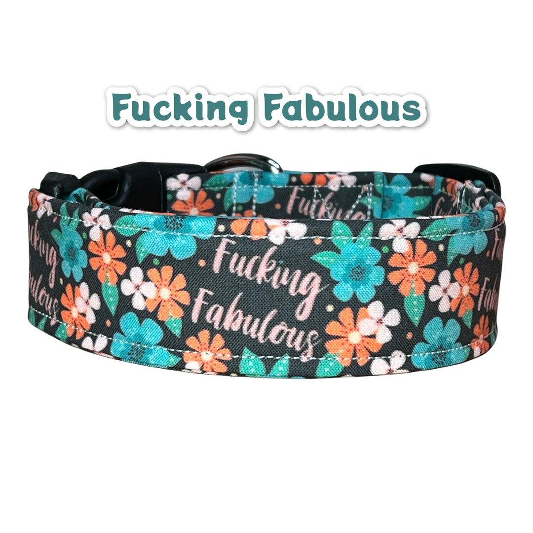 Funny Dog Collar, Cuss Word Dog Collar, Wide Dog Collar, Side Release