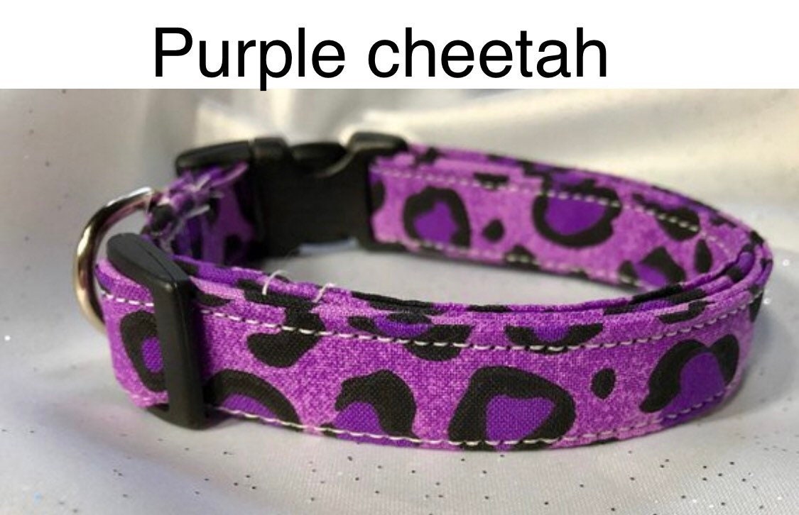 cheetah dog collar