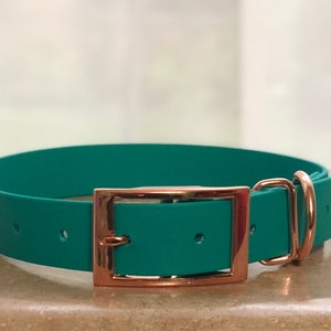 Waterproof dog collar, teal dog collar, dog collar, buckle dog collar, waterproof collar, teal, rose gold hardware, unisex dog collar