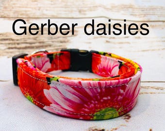 Floral Dog Collar: Gerber Daisy Print, Adjustable Buckle Collar, handmade floral side release dog collar