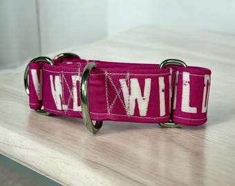 Martingale Dog collars