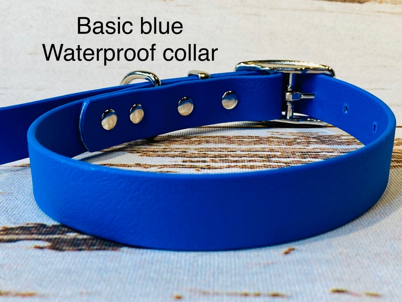 Waterproof Dog Collar Blue Dog Collar Dog Collar Buckle Dog Etsy