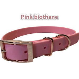 Pink Biothane Dog Collar: Waterproof Buckle Collar with Rose Gold Hardware