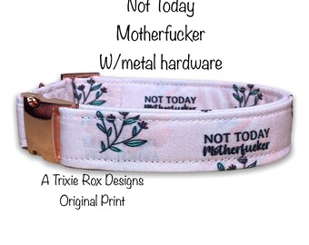 Not today motherfucker dog collar, funny dog collar, obscene, metal hardware, side release, adjustable, washable, eco friendly, fuck, blush