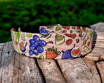 Charcuterie Dog collar, handmade side release dog collar, girl dog collar, boy dog collar, custom dog collar, washable, adjustable collar