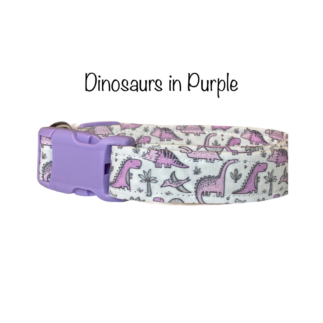 Dinosaur Dog Collar, Dog Collar, Dinosaurs, Dinos, Purple Dinosaur, Funny Dog Collar, Adjustable