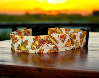 Butterfly dog collar, handmade side release dog collar, girl dog collar, boy dog collar, custom dog collar, washable, adjustable collar