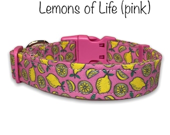 Lemon dog collar, funny dog collar, food dog collar, cat collar, pink, lemons, eco friendly collar, washable, adjustable, pink lemons, dog