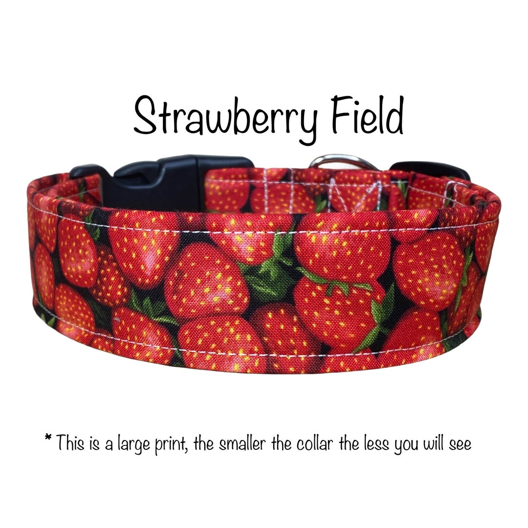 Strawberry Dog Collar Funny Dog Collar Food Dog Collar Side Etsy