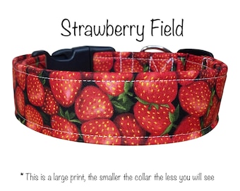 Strawberry dog collar, funny dog collar, food dog collar, side release collar, adjustable collar, washable collar, red, green, dog collar
