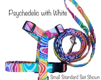 Psychedelic dog harness and leash set, standard Roman dog harness, step in dog harness, matching leash, rainbow, adjustable dog harness