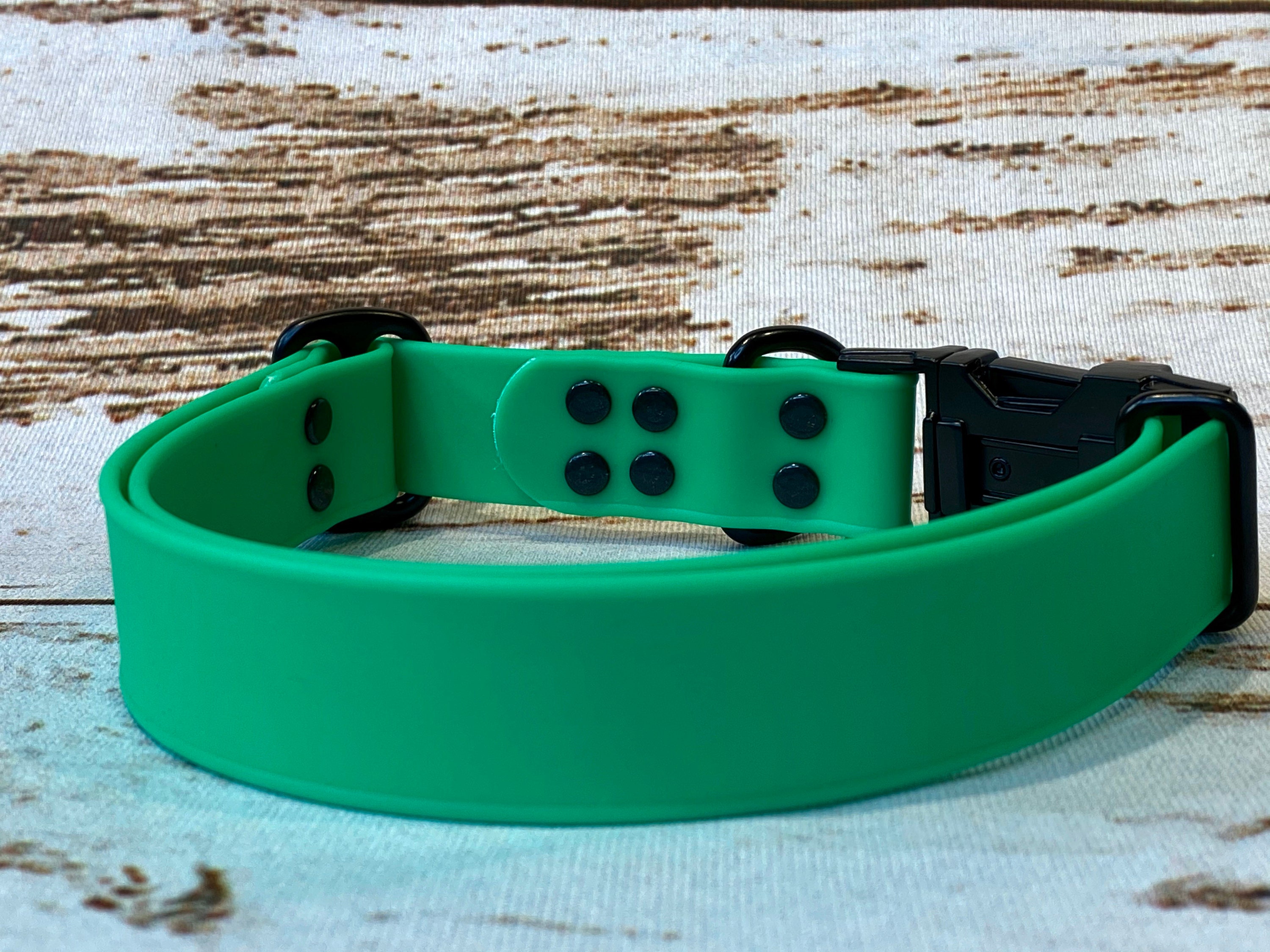 Biothane dog collar, green dog collar, dog collar, buckle dog collar