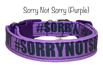 Funny dog collar, sorry not sorry, purple dog collar, side release collar, adjustable collar, washable collar, fabric collar, dog collar