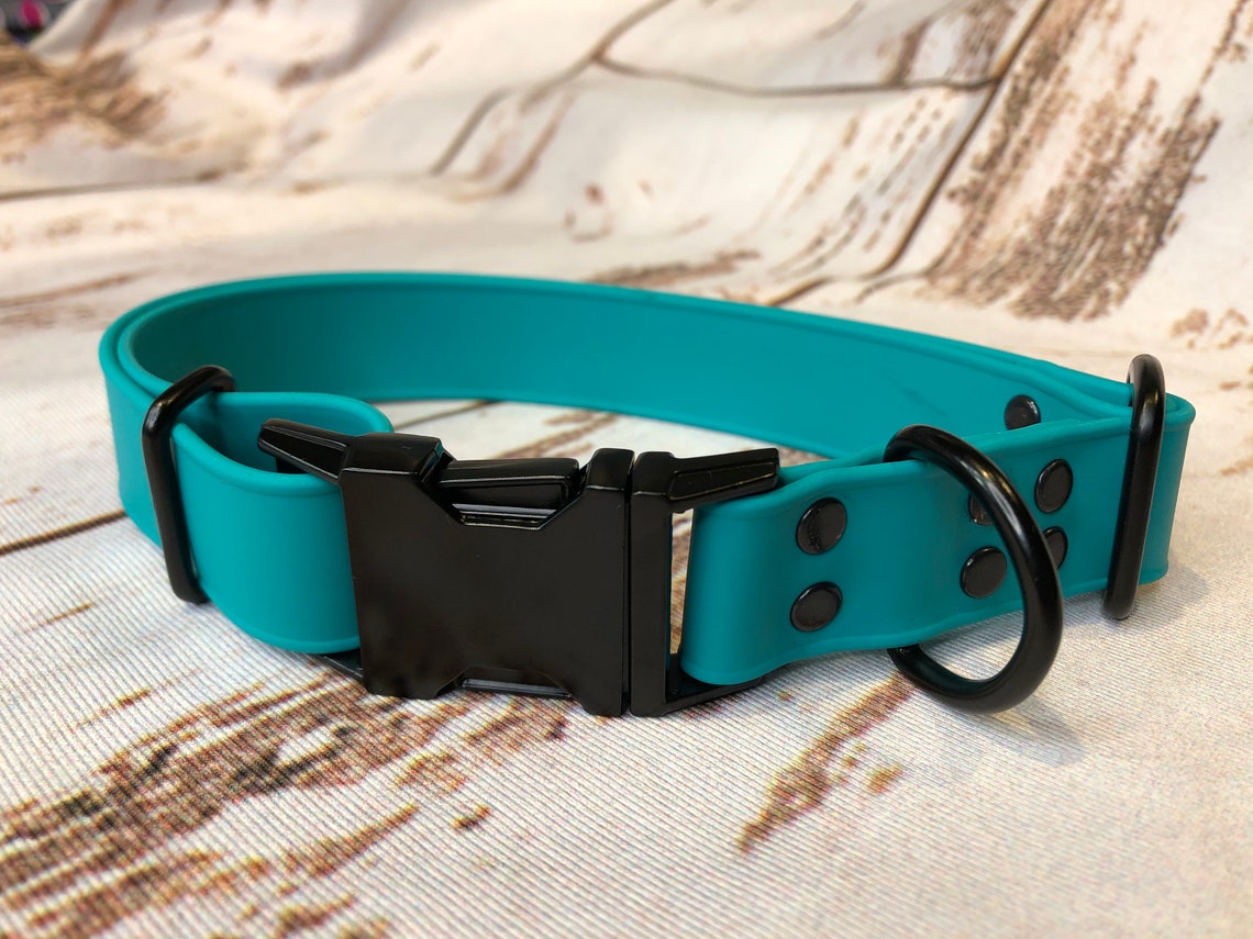 Biothane Dog Collar Dog Collar Teal Dog Collar Buckle Dog Etsy